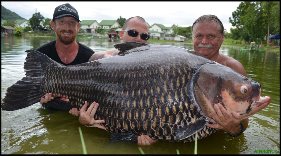 OpIuHwOqj1uI1lbVSsxEqjaqy.jpg OpIuHwOqj1uI1lbVSsxEqjaqy.jpg